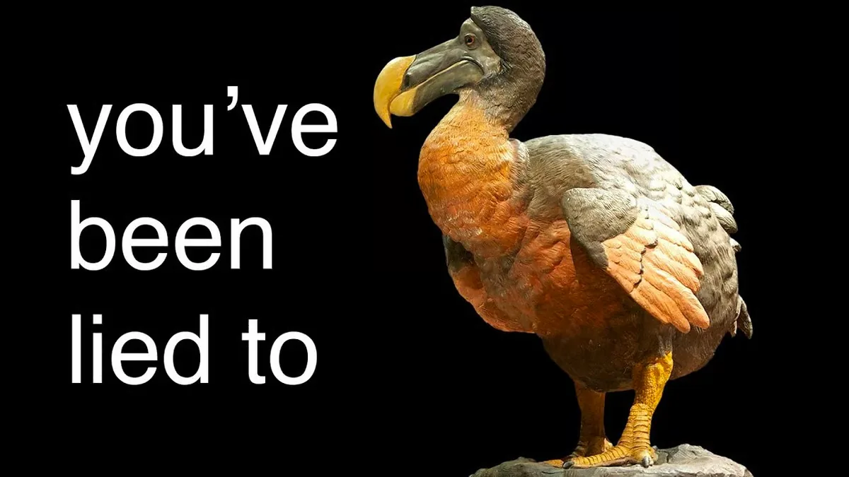 Thumbnail for 'The REAL reason the Dodo Went Extinct': the words 'you've been lied to' in white on black beside a dodo.