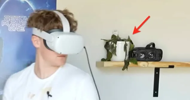 Frame from Ryan Trahan's 100 Days in the Metaverse with a red arrow on the houseplant behind him, the video's covert meta-narrative.